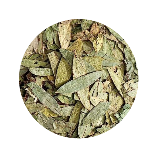 No. 4 Senna Tea Refill