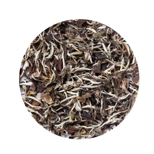 No. 9 White Tea Refill